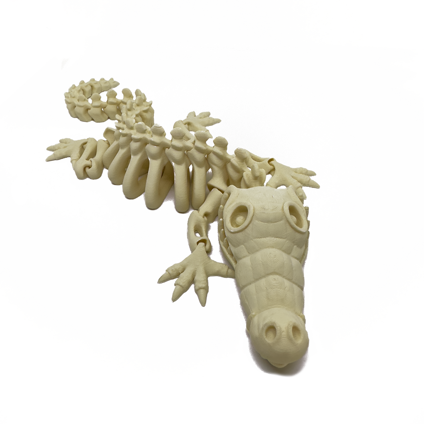 Crocodile Skeleton - Beige